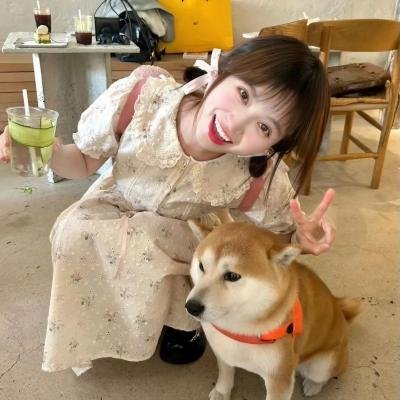 巅峰拍档第一季